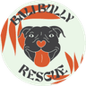 Bali Bully Rescue logo