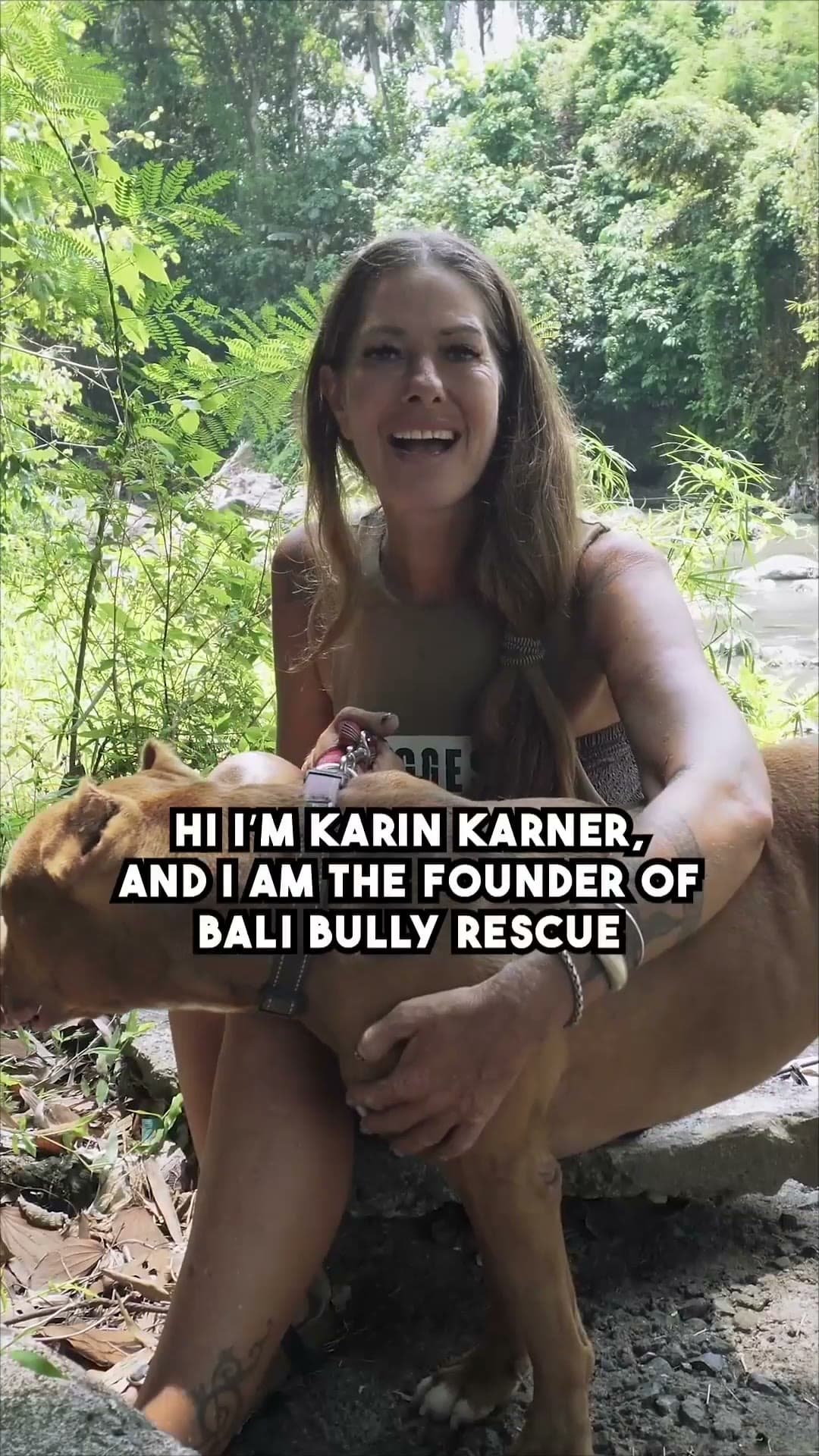 Karin's story: meet the founder of Bali Bully Rescue