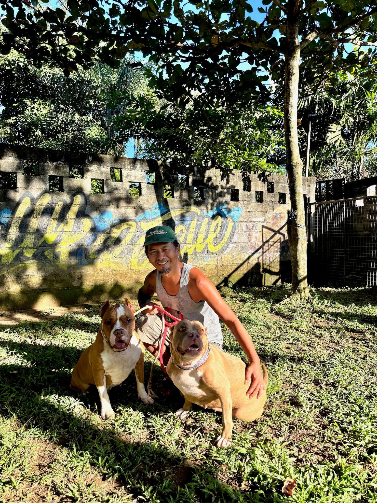 Philis, Dog carer