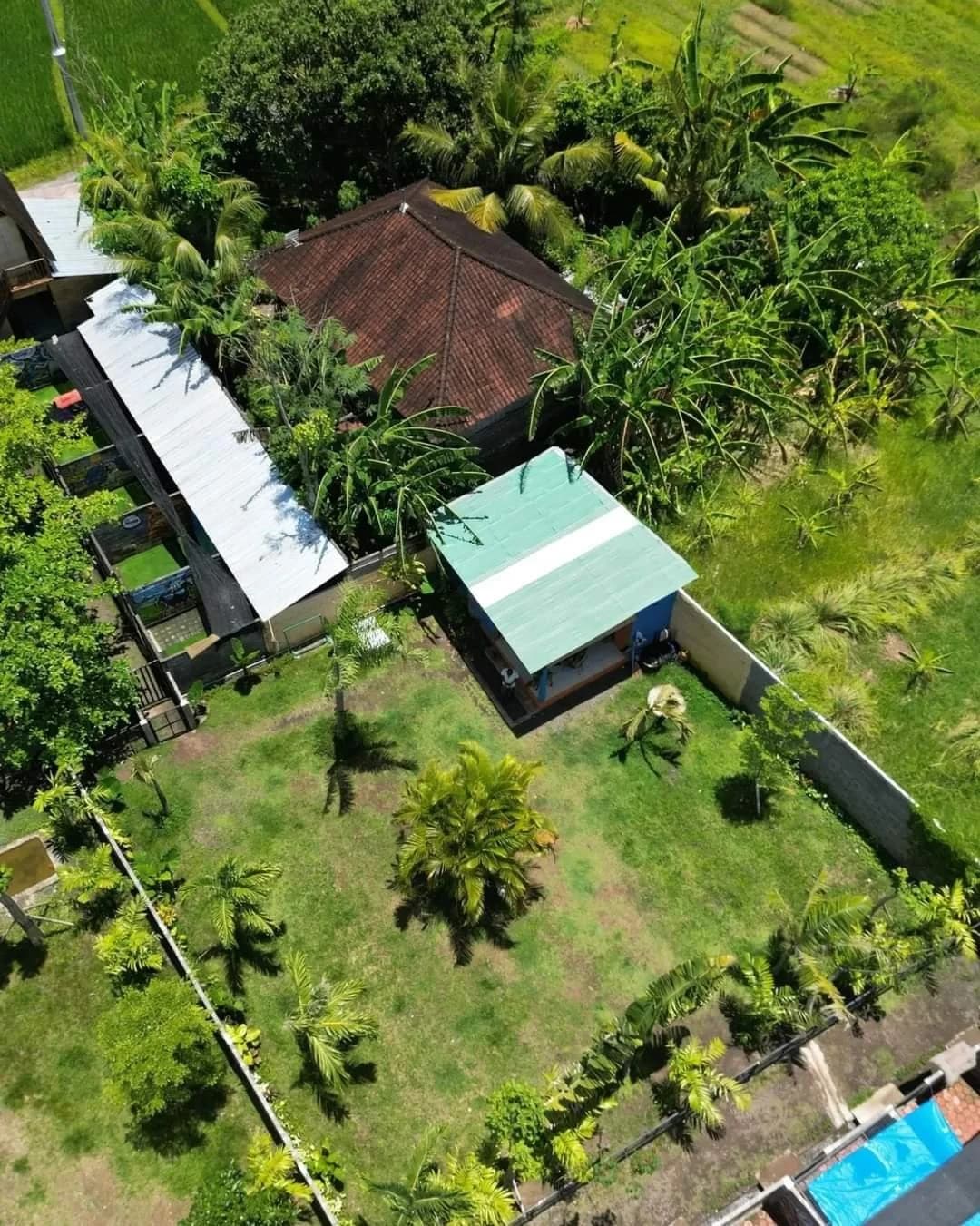 Bali Bully Rescue centre, exterior