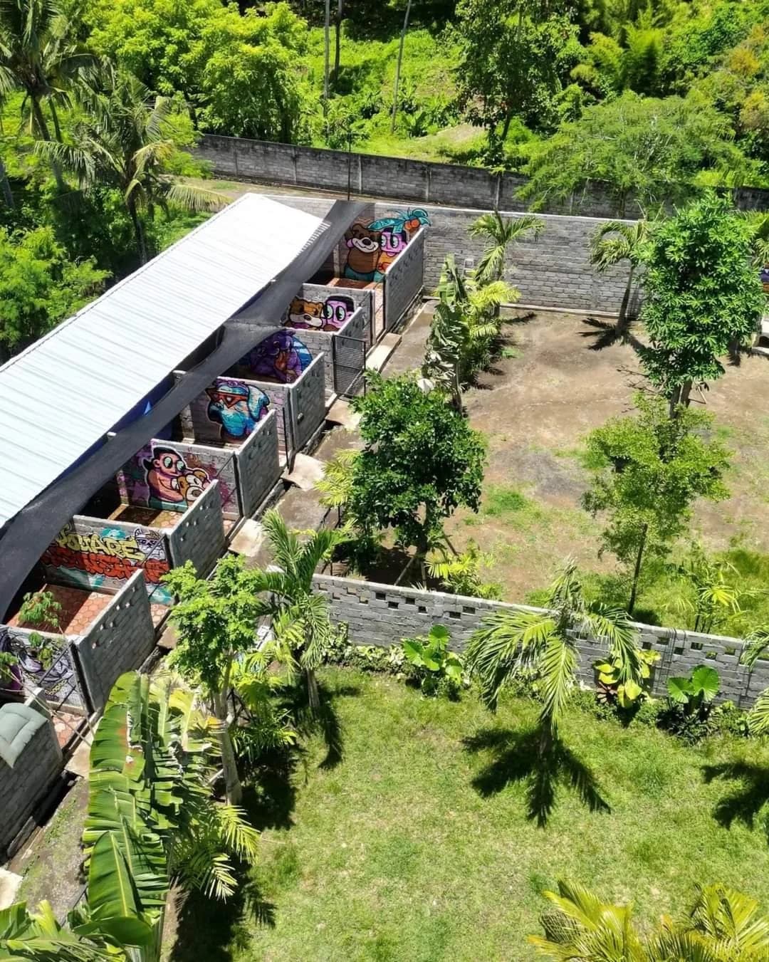 Bali Bully Rescue centre, exterior